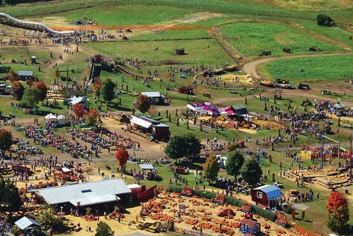 Overview look of Cox Farm Pumpkin Patch.