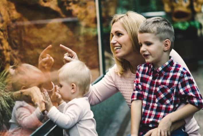 Family pointing at zoo exhibit.