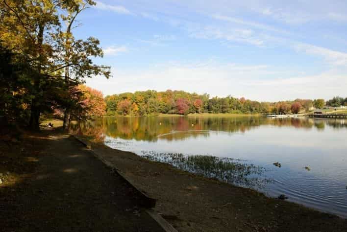 Edge of Lake Accotink Park view with fall trees in the background. 