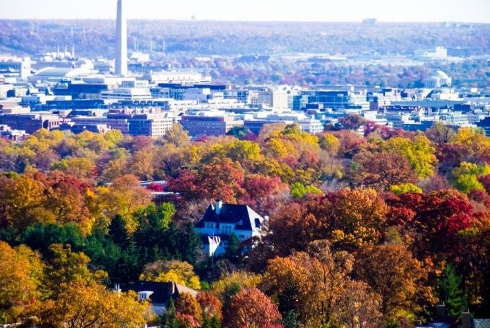 Scenic view of fall trees in Washington D.C. 