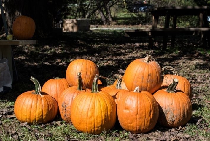 Large stack of pumpkins for sale.